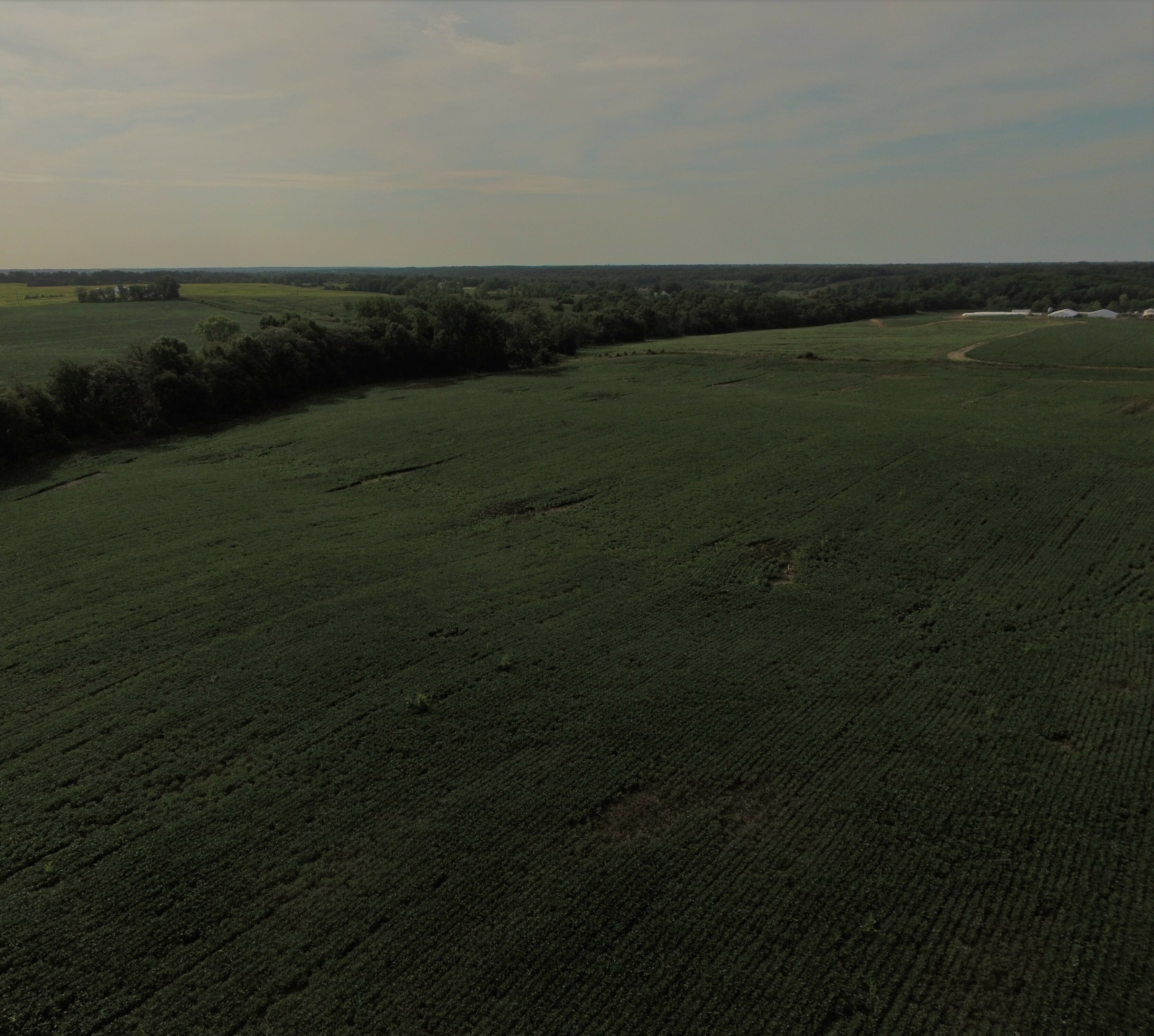 79.4 acres Scotland County Missouri Land & Farm