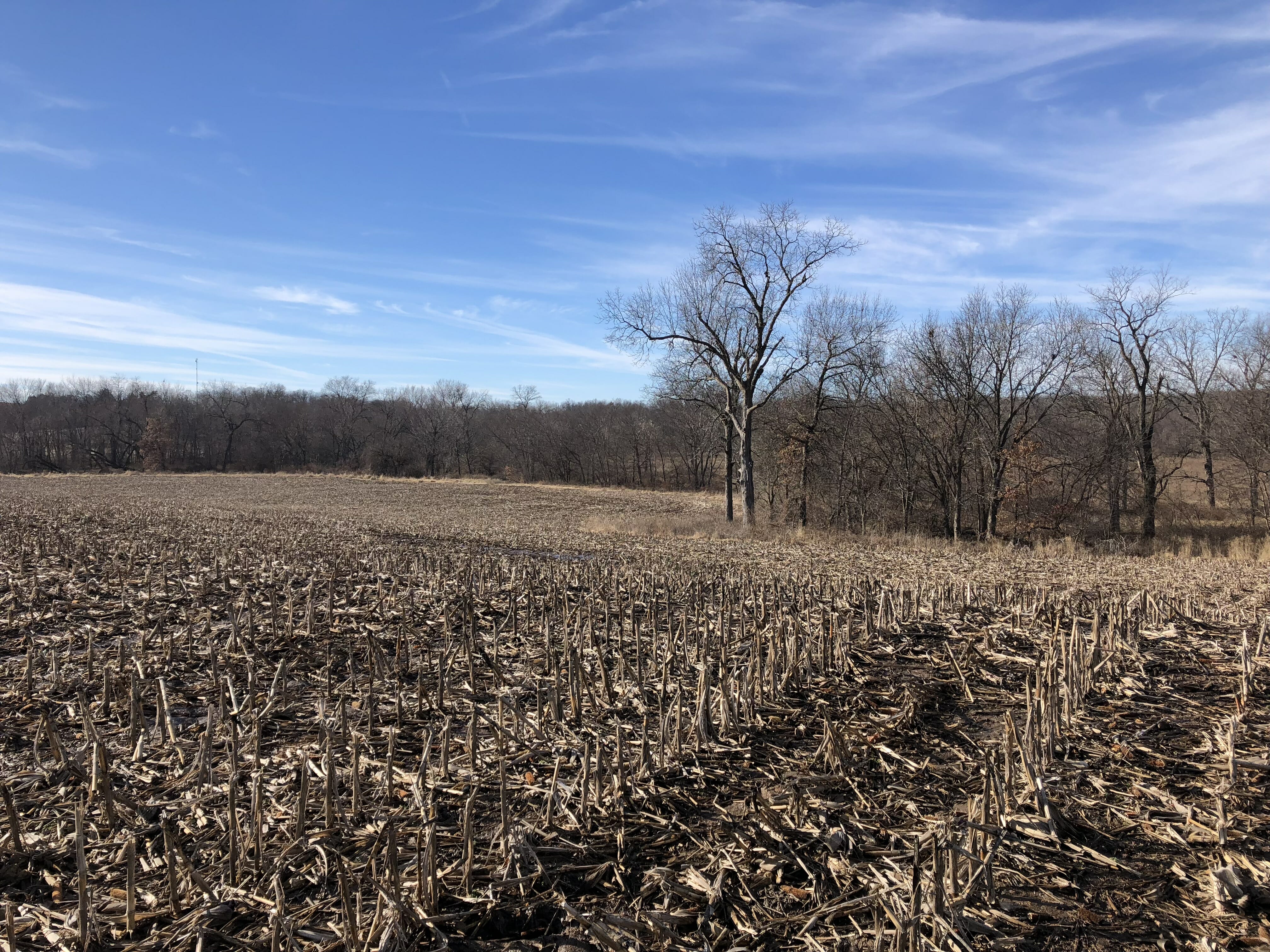 109 Acres, 4.4 Tillable, Terraced, Hunting Farm with Hwy V Frontage