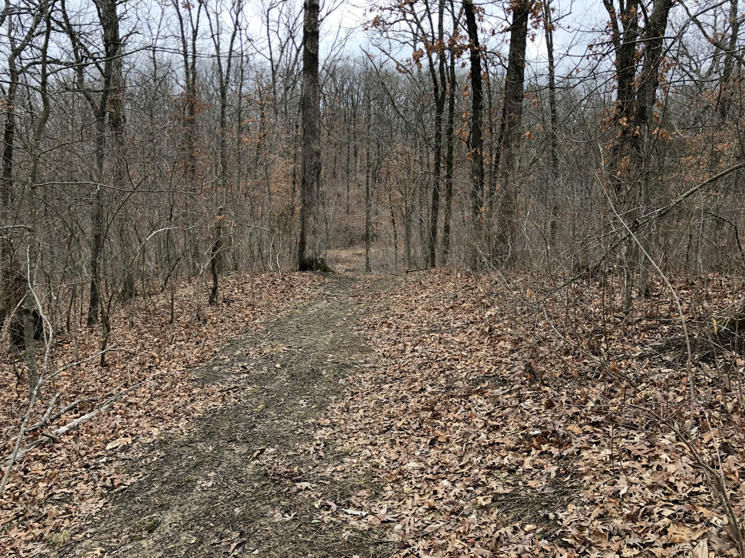34 Acre Timber Tract Missouri Land & Farm