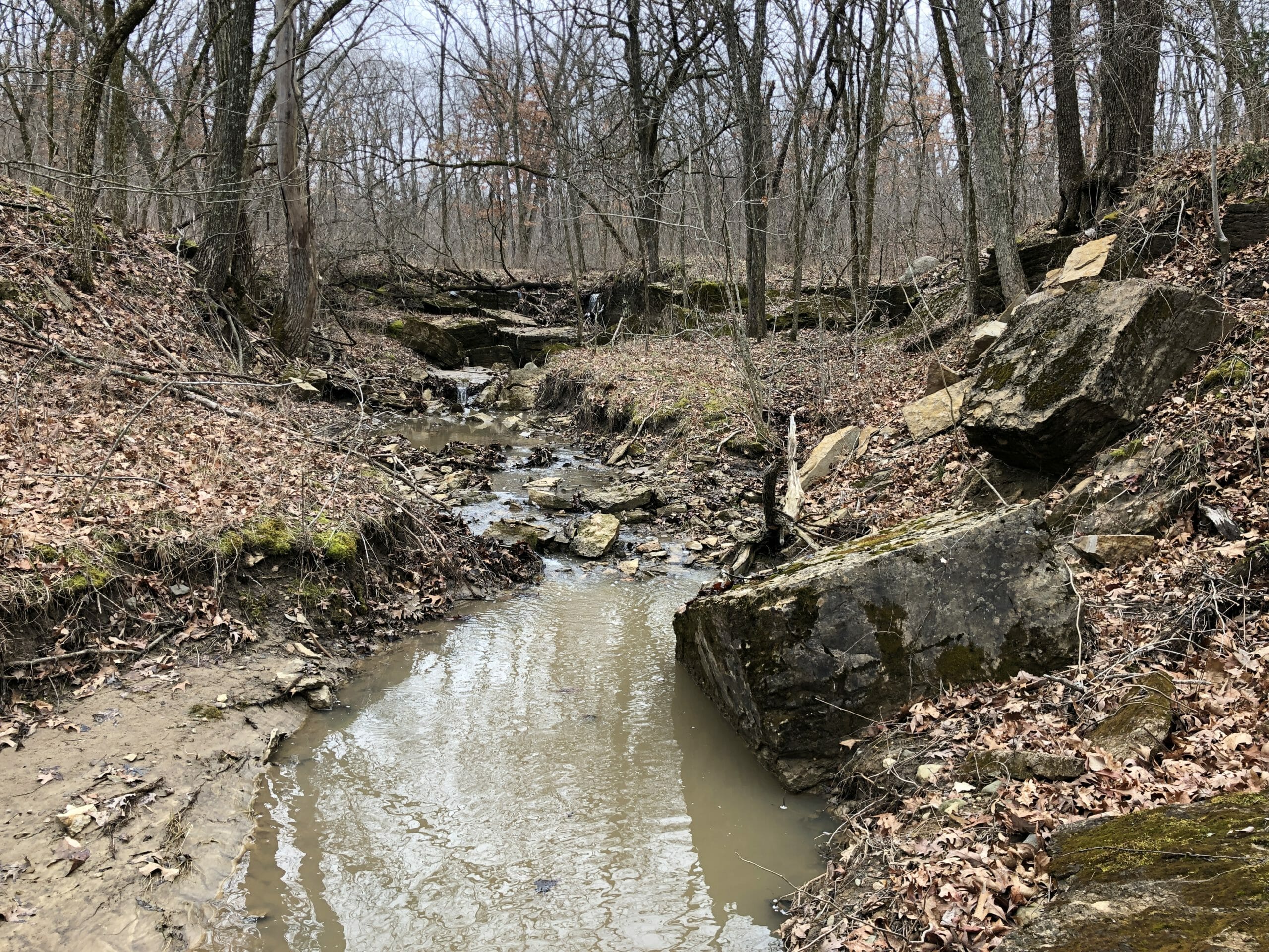 34 Acre Timber Tract Missouri Land & Farm