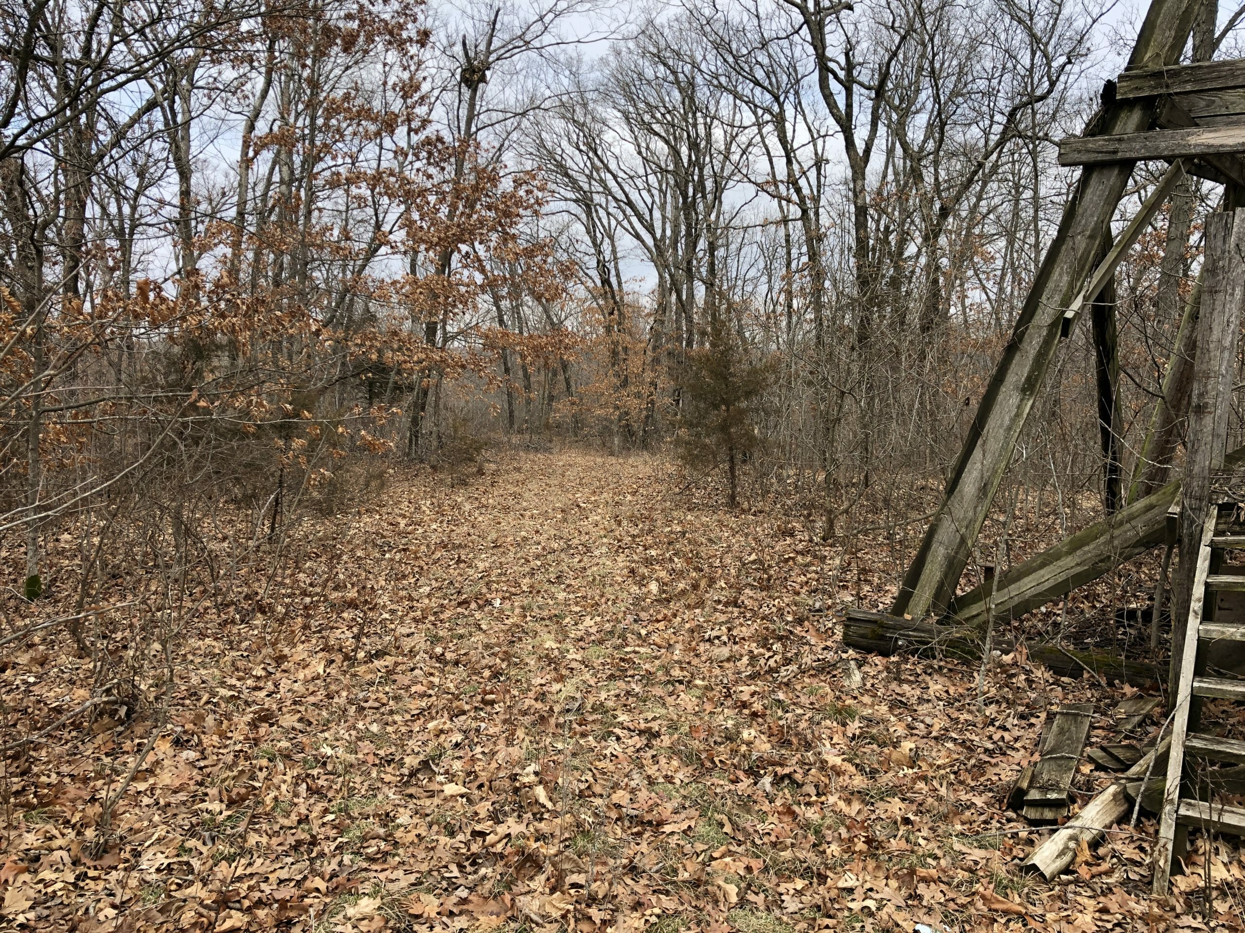 34 Acre Timber Tract Missouri Land & Farm