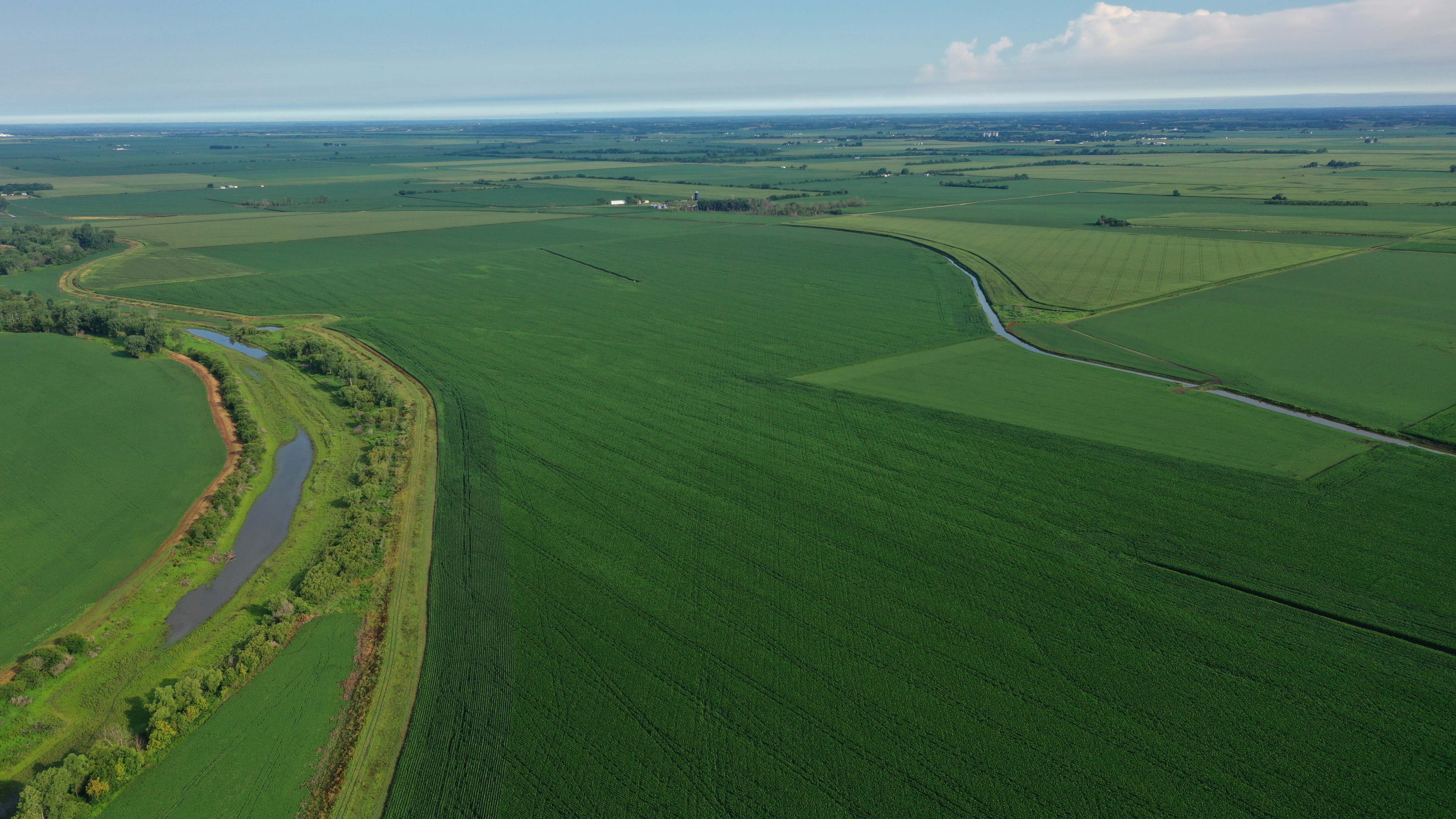 1120 Acres of Premium Tillable Farm Ground!!! Live & Online Auction 6