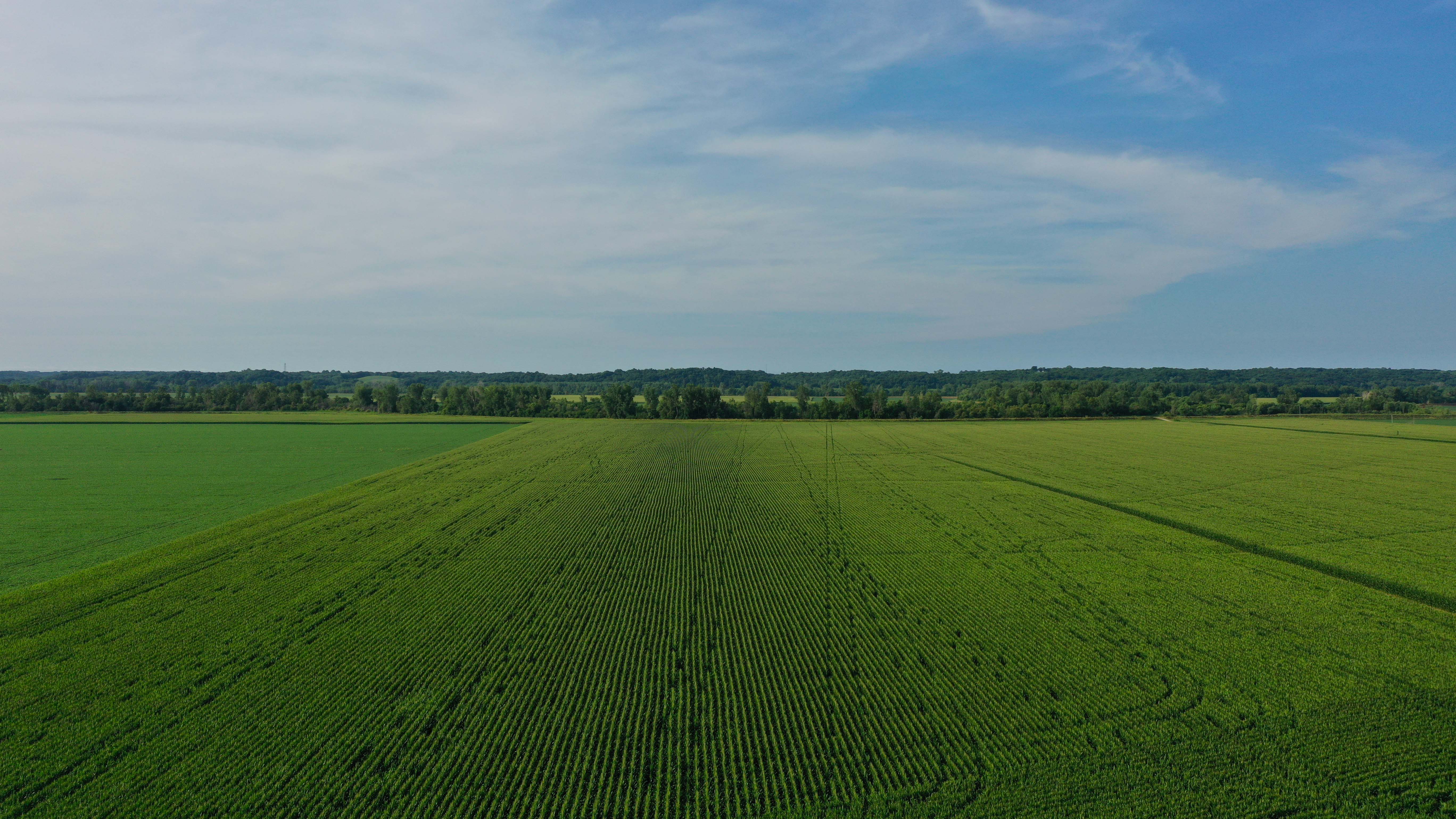 1120 Acres of Premium Tillable Farm Ground!!! Live & Online Auction 6