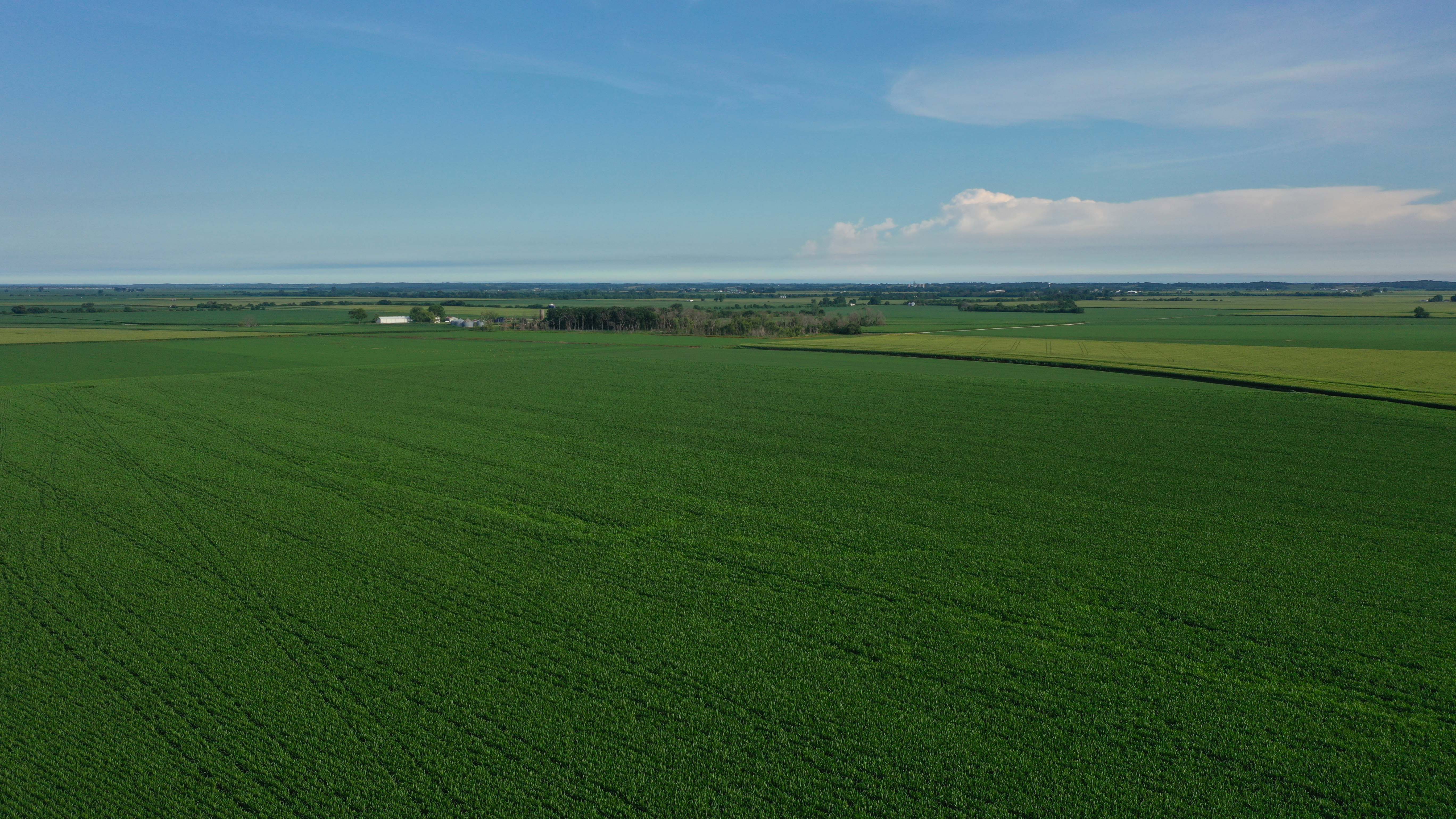 1120 Acres of Premium Tillable Farm Ground!!! Live & Online Auction 6