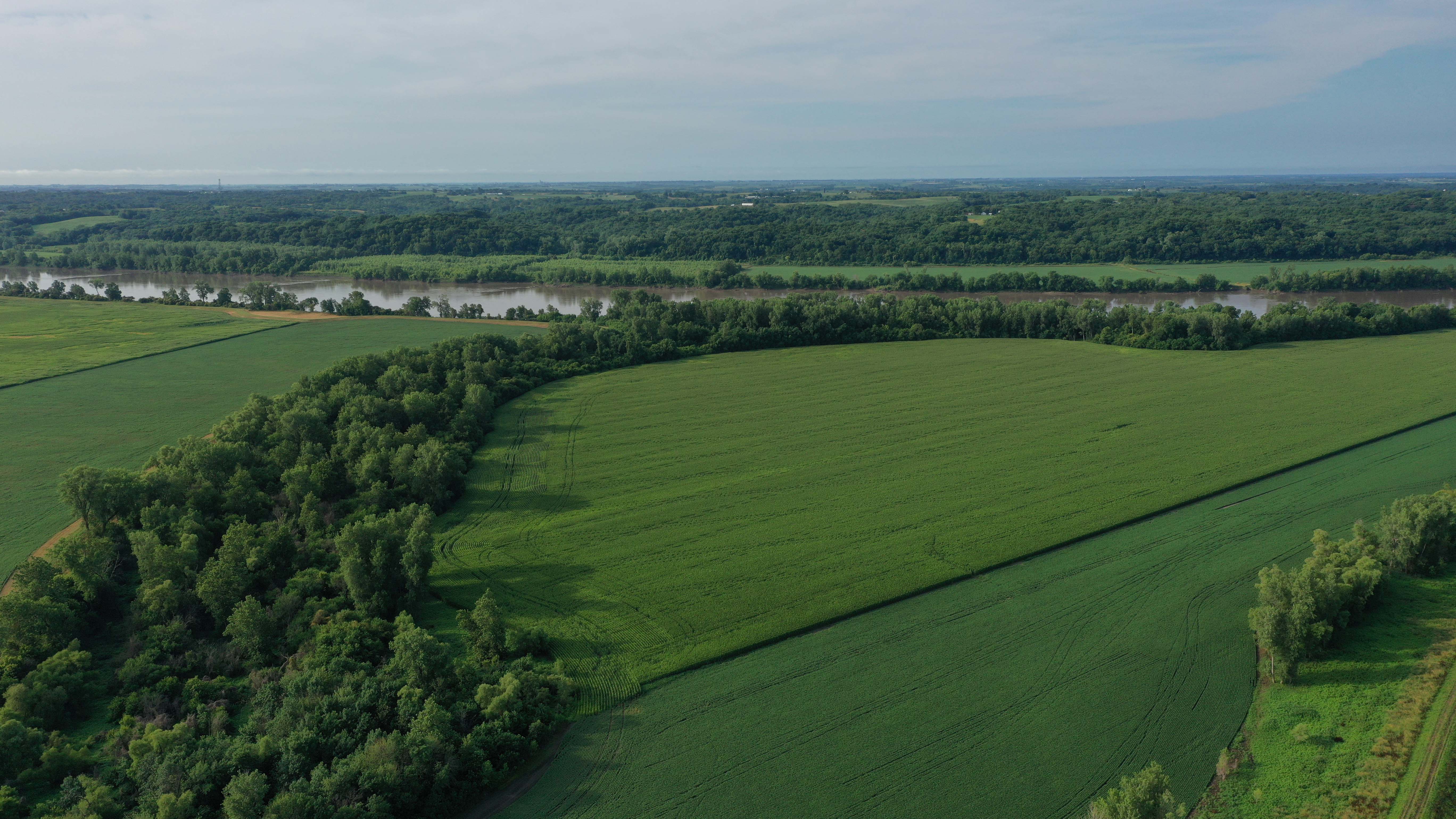 1120 Acres of Premium Tillable Farm Ground!!! Live & Online Auction 6